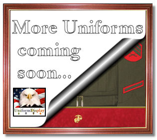 More Uniform Display Cases Awards Display Case Shadow Box